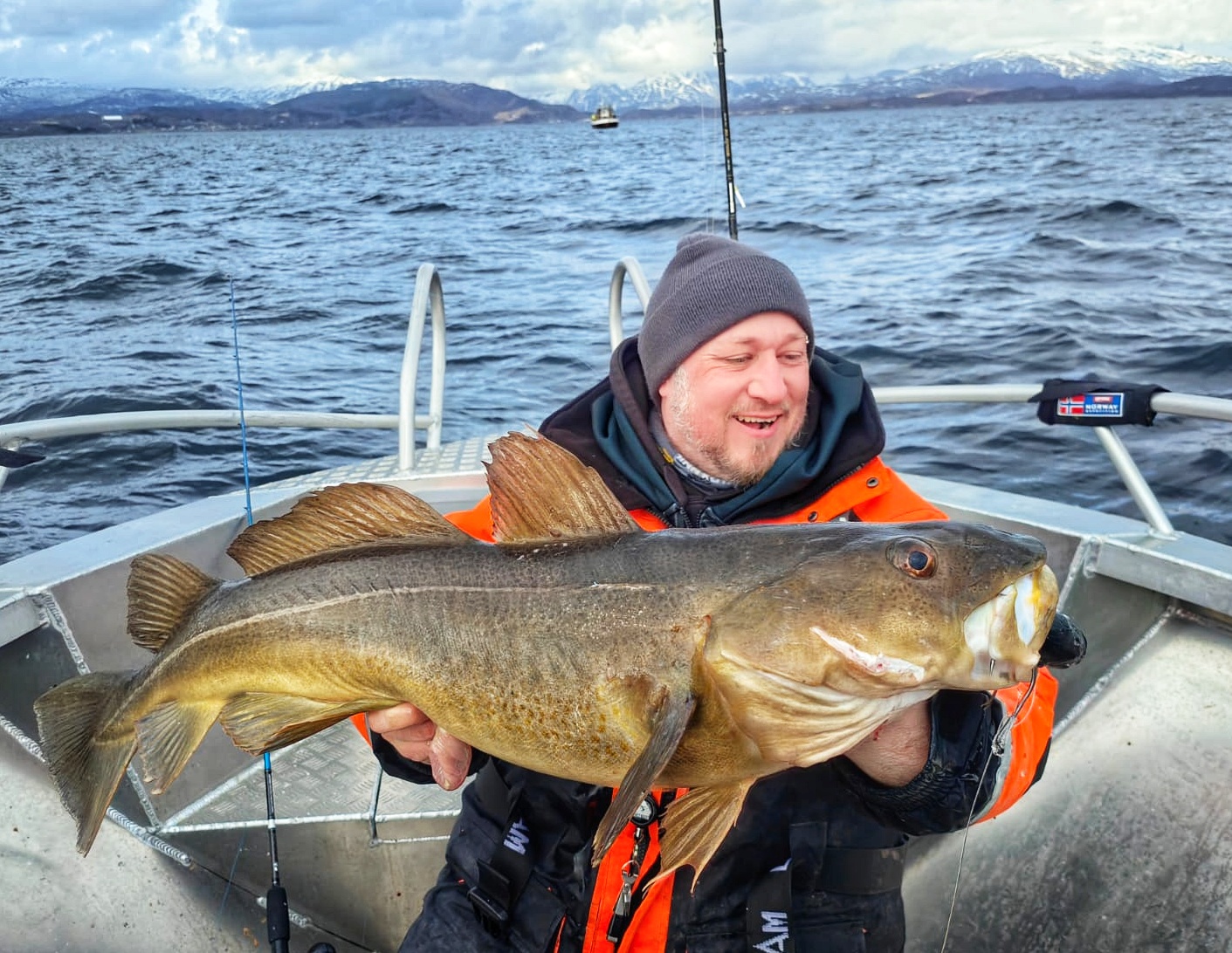 Dorsch auf Naturköder