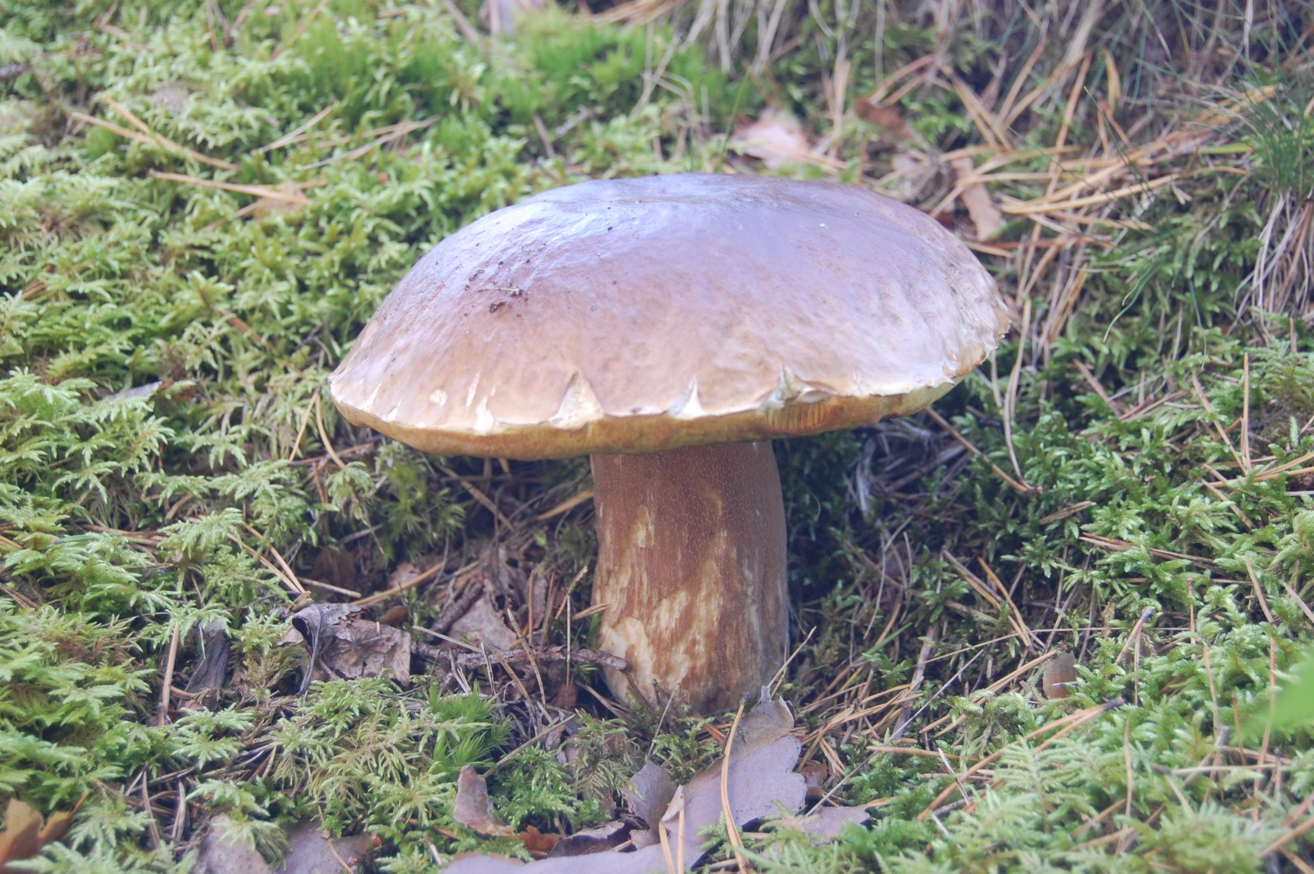 DSC 0058