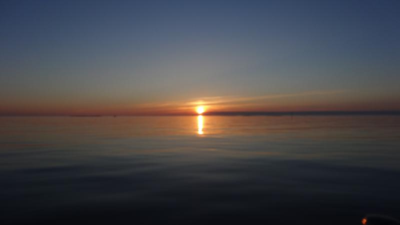 DSC00716