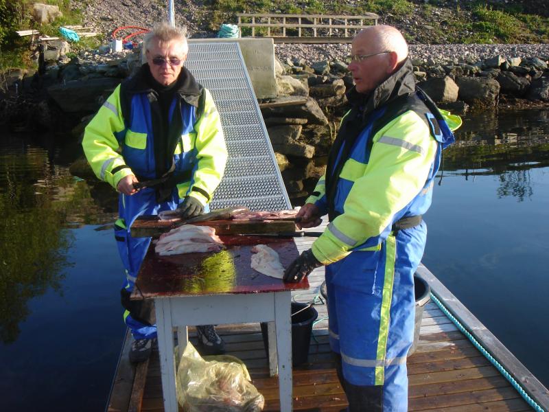 DSC03087  Bei der Arbeit.