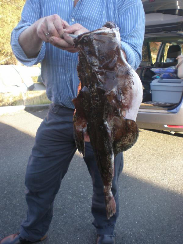 Ein seltenes Exemplar