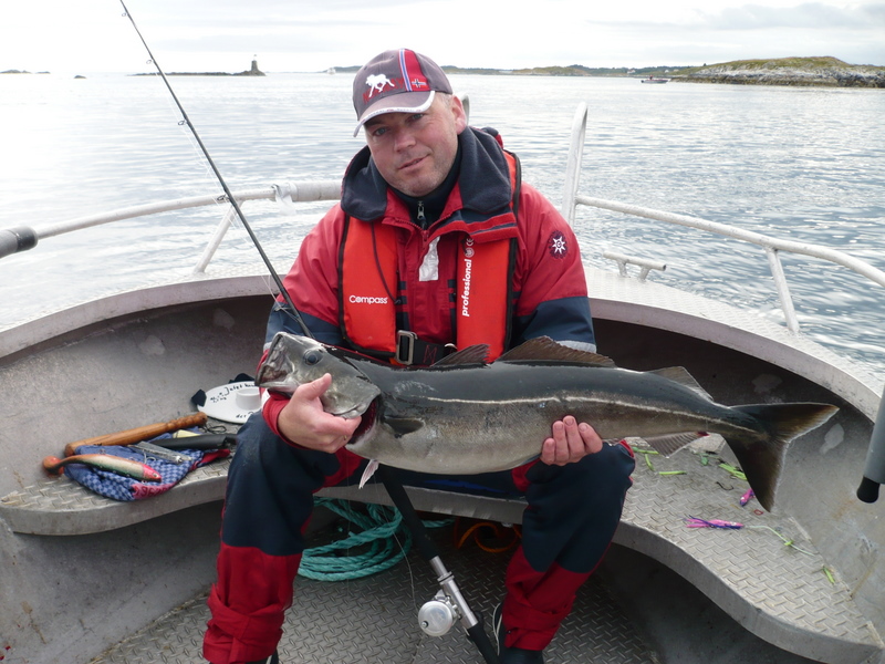 ein Siegerfisch, Seelachs 6,5kg
