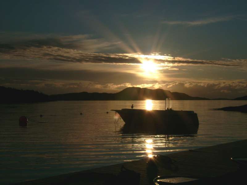 Einladung zum træumen!