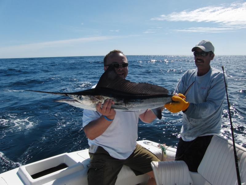 Einmalig!! Baby Marlin!
