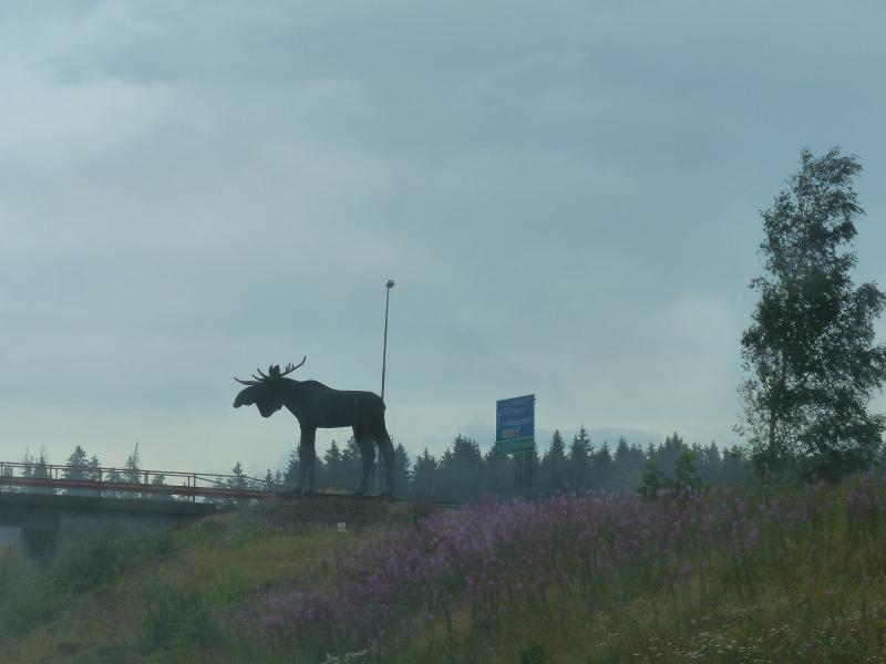 Elch