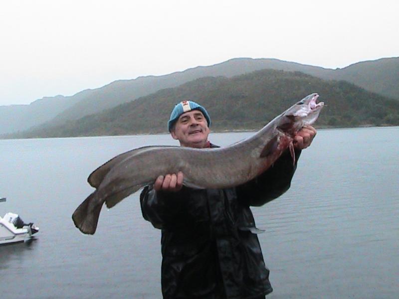 endlich ein ,,Meterfisch``