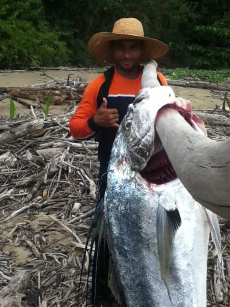 Enricoyelgallogrande