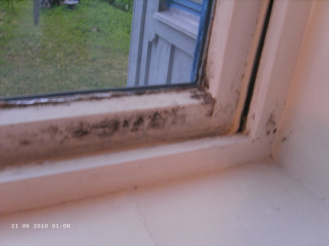 Fenster über dem Bett