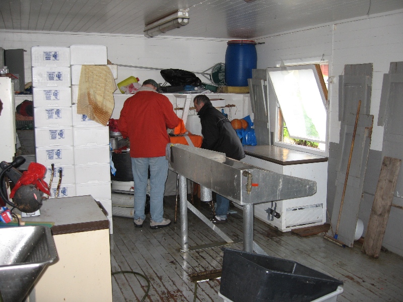 Filetierhaus5