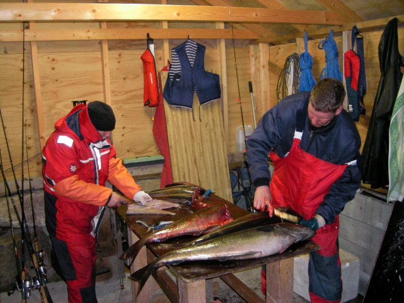 Fischverarbeitung