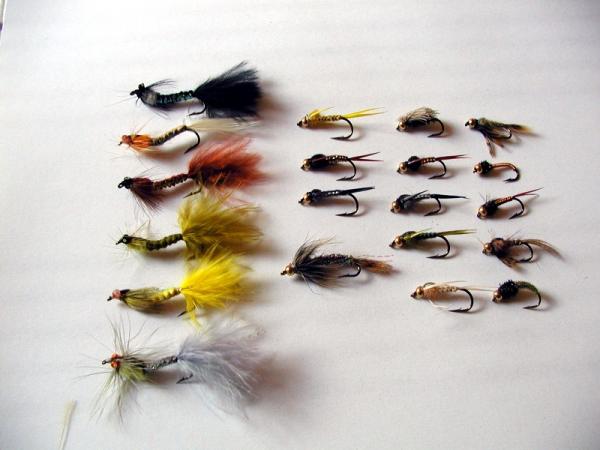 Fliegen 001