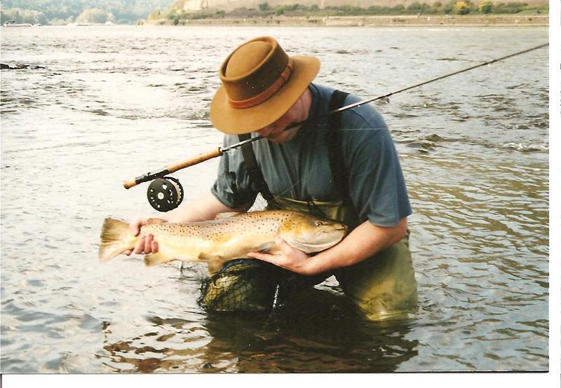 Forelle aus dem Rhein. Was ein Klotz.