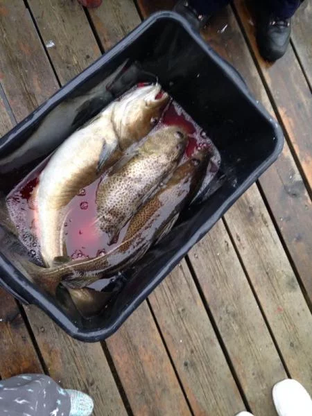 Foto 20.04.14 09 33 06