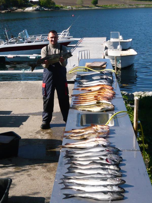 gefangen zu 5 an einem halben Angeltag