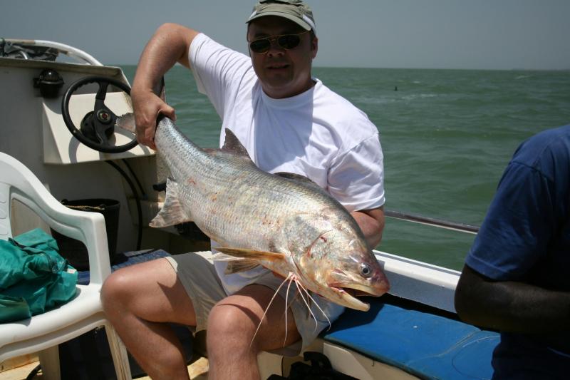 Giant African Threadfin
