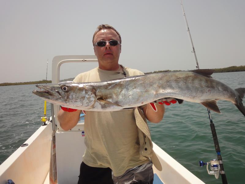 Guinean Barracuda