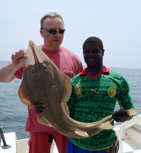 Guitarfish