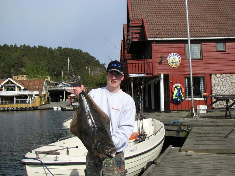 Heilbutt in Südnorwegen