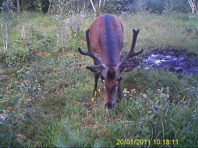 -Hirsch (4)_Moment-3