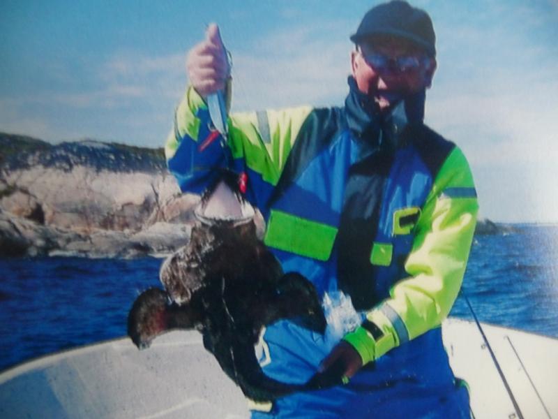 Hitra - ein Seeteufel