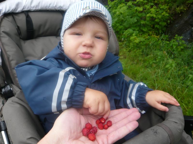 Hmm lecker Walderdbeeren
