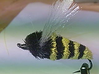 Hornisse
Haken Mustad classic #6