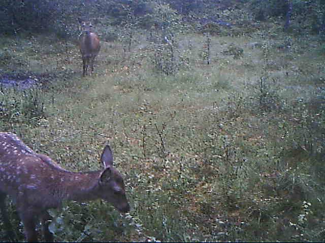 IMAG0013-Hir+Kalb (1)_Moment-2