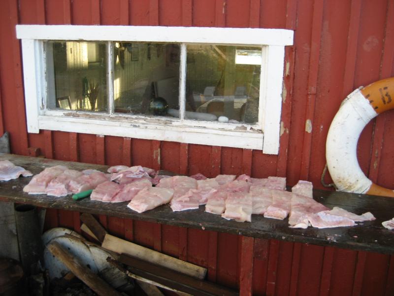 IMG 0100