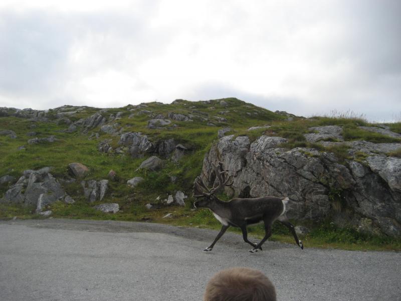 IMG 0279