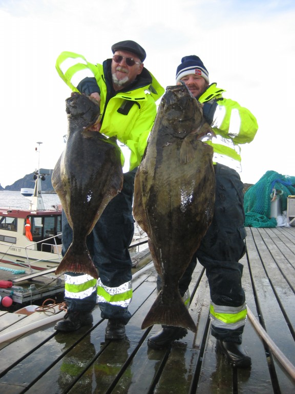 IMG 1459 [Max. Breite 1024 Max. Höhe 768]