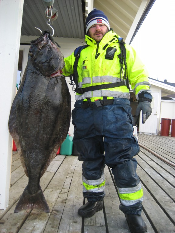 IMG 1476 [Max. Breite 1024 Max. Höhe 768]