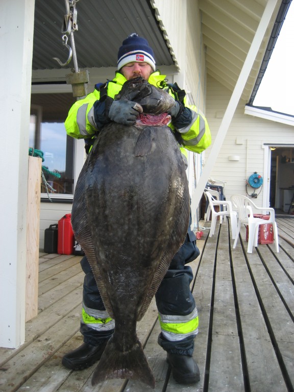 IMG 1477 [Max. Breite 1024 Max. Höhe 768]