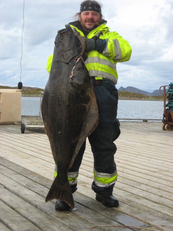 IMG 1567 [Max. Breite 1024 Max. Höhe 768]