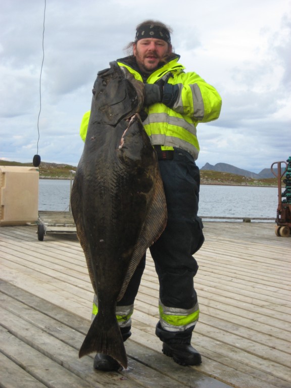 IMG 1568 [Max. Breite 1024 Max. Höhe 768]