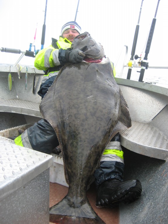 IMG 1586 [Max. Breite 1024 Max. Höhe 768]