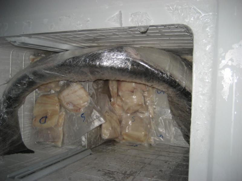 IMG 1611 [Max. Breite 1024 Max. Höhe 768]