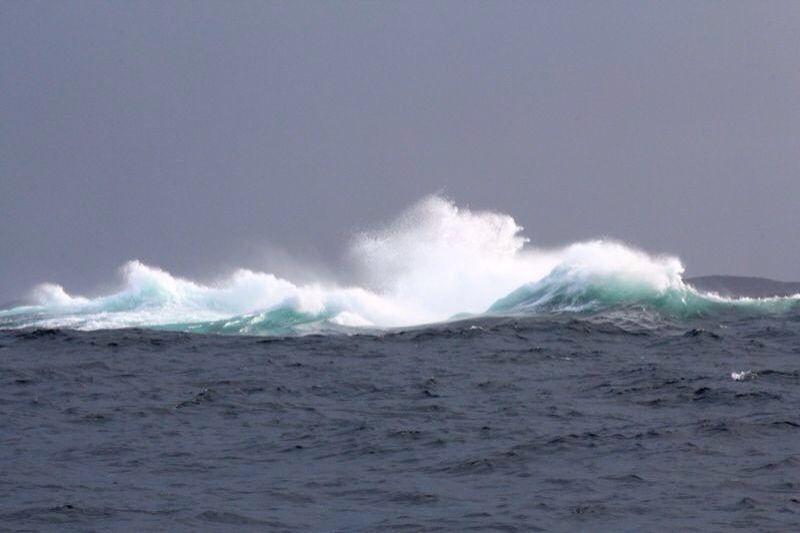 IMG 20140920 WA0013