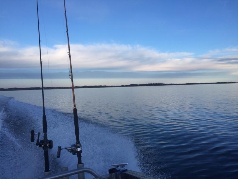 IMG 20150116 WA0030