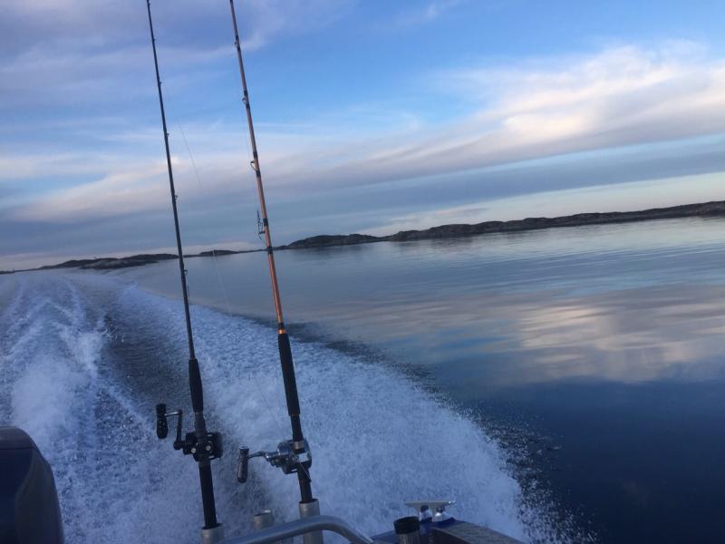 IMG 20150116 WA0031