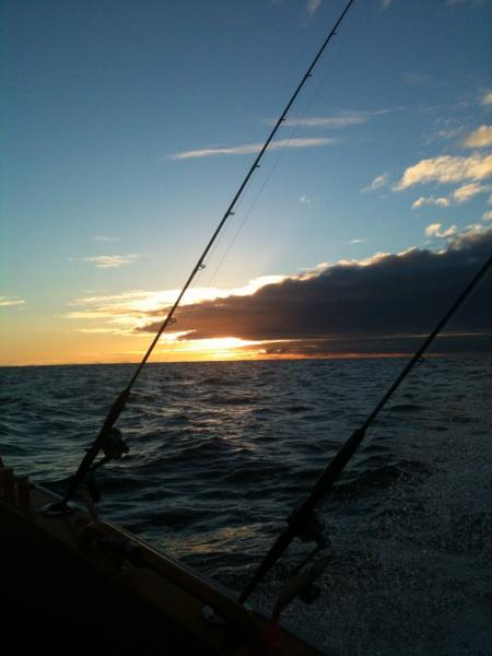 IMG 20150119 WA0002