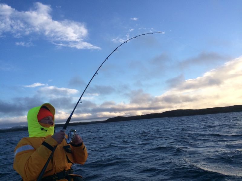 IMG 20150124 WA0030