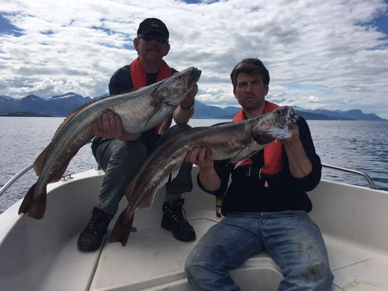 IMG-20160708-WA0003[1]