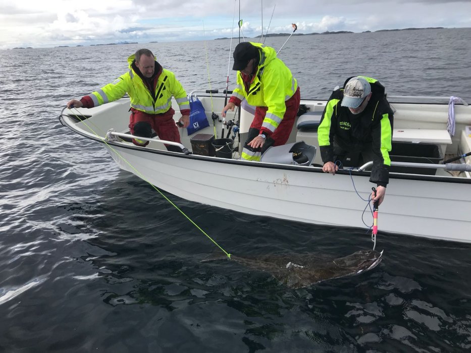 IMG-20180814-WA0044