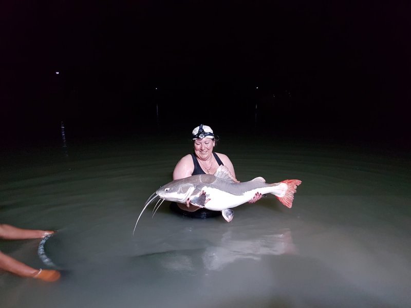 IMG-20190206-WA0039