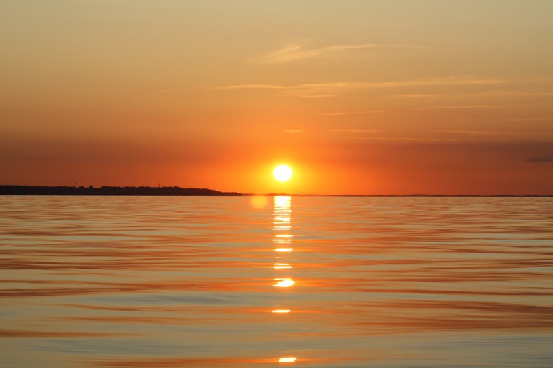 IMG 2331 800x533