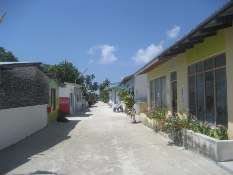IMG 2965
