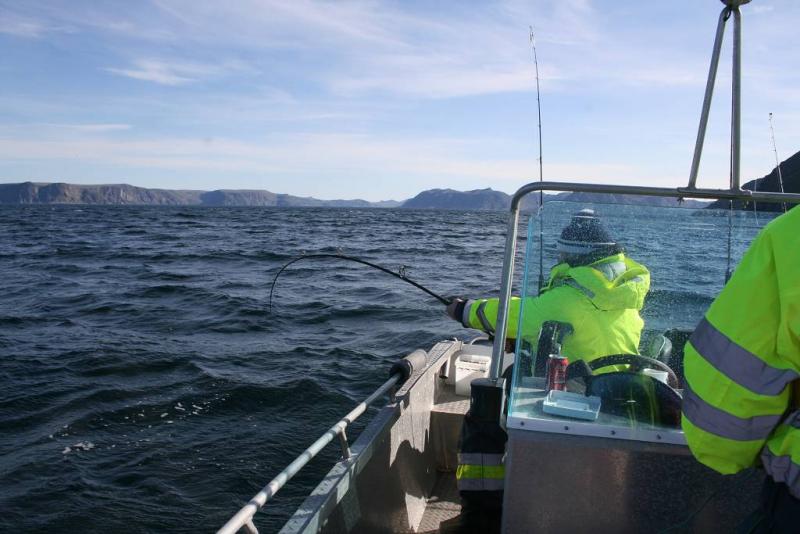 IMG 6180 (1024 x 768)