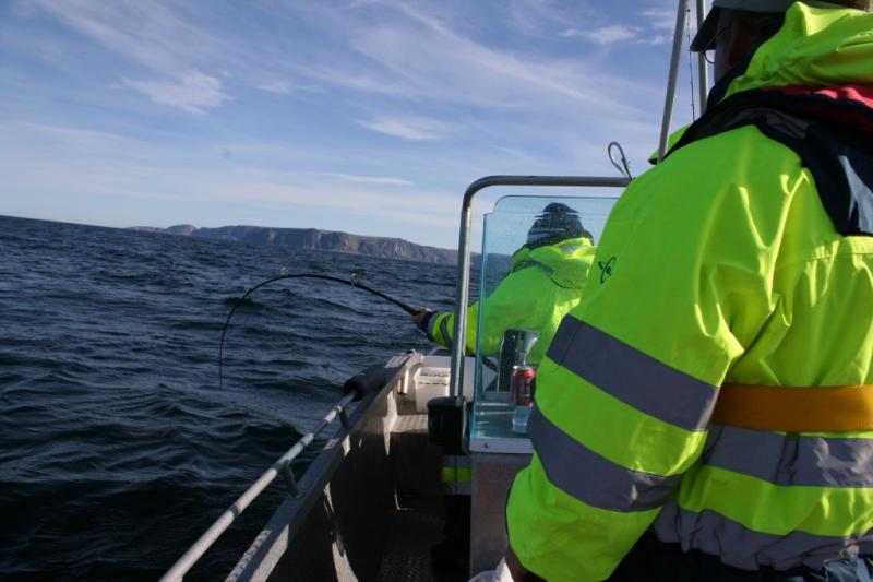 IMG 6182 [Max. Breite 1024 Max. Höhe 768]