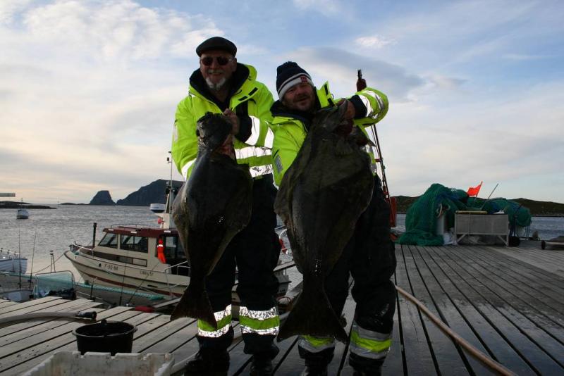 IMG 6218 (1024 x 768)