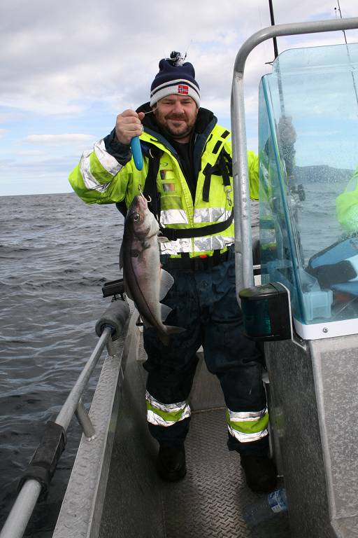 IMG 6222 (1024 x 768)